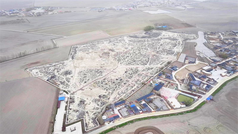 遺址文物成人抖音网站施工丨新疆達勒特古城遺址文物陳列館